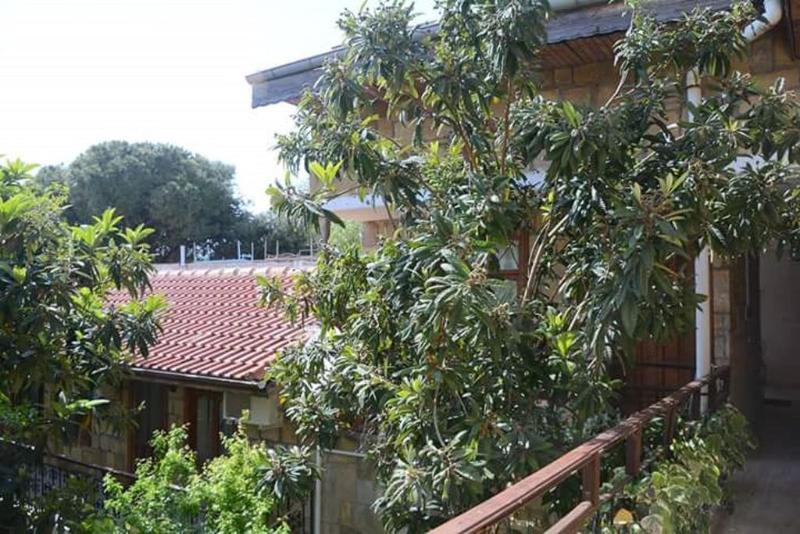 Antonios Motel シダ エクステリア 写真